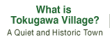 What is the Tokugawa Village? - Quiet and Historic Town