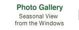 Photo Gallery - Seasonal View from the Window