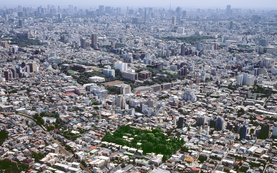 徳川ビレッジ周辺、空撮