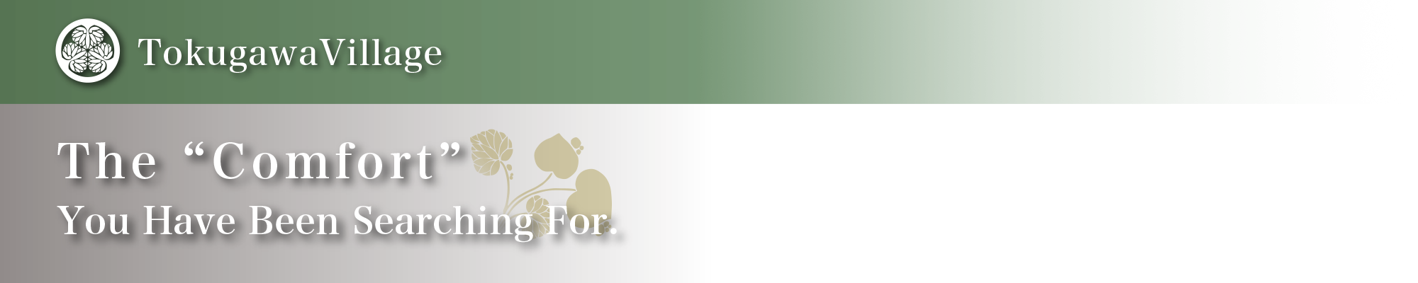 The “Comfort” You Have Been Searching For. 