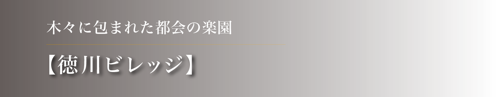 木々に包まれた都会の楽園【徳川ビレッジ】