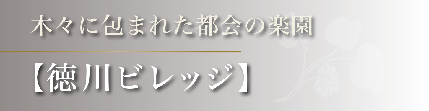 木々に包まれた都会の楽園【徳川ビレッジ】